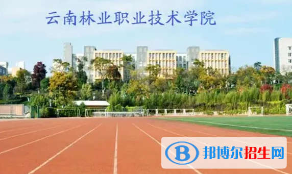 云南單招經(jīng)濟林培育與利用專業(yè)2023年有哪些學校