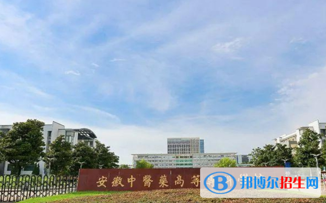 安徽單招中醫(yī)養(yǎng)生保健專業(yè)2023年有哪些學校