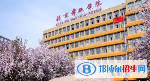 中國大學(xué)舞蹈學(xué)專業(yè)排名（2022研究型）