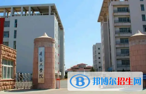 青島工學院排名(全國)青島工學院在山東排名