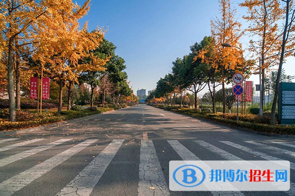 四川電力職業(yè)技術學院單招2023年招生簡章