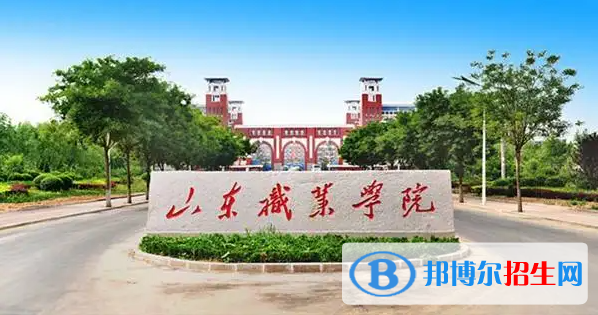 山東高考445分左右可以報考什么學校（2023報考參考）