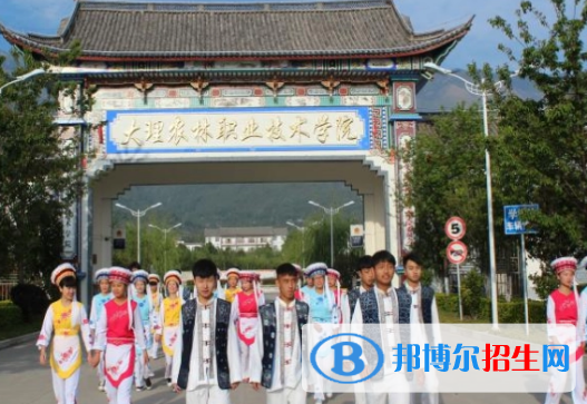 大理所有的專科學(xué)校有哪些?(附學(xué)校名單)