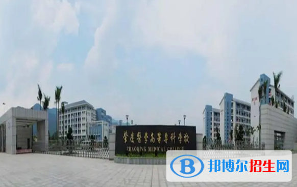 肇慶所有的?？茖W(xué)校有哪些?(附學(xué)校名單)