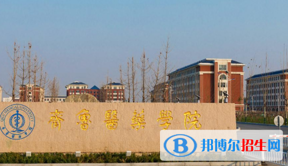 齊魯醫(yī)藥學(xué)院是不是雙一流大學(xué)嗎？