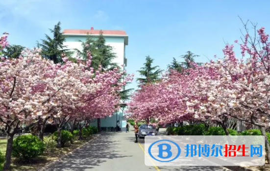 青島濱海學(xué)院是不是雙一流大學(xué)嗎？