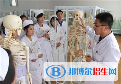 浙江2023年衛(wèi)?？梢詫W(xué)什么