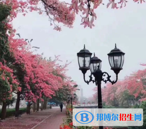 廣州軟件學院是不是雙一流大學？