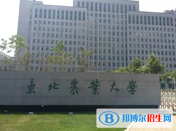 黑龍江農(nóng)林類大學(xué)有哪些？(附名單)