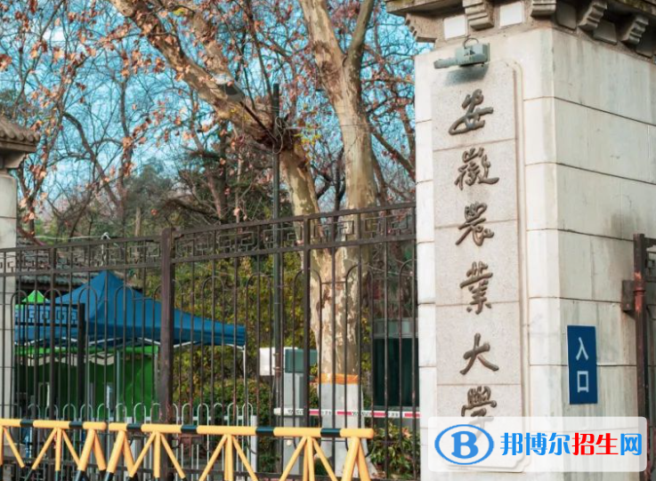 安徽農(nóng)林類大學(xué)有哪些？(附名單)