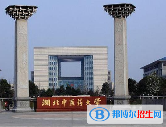 湖北醫(yī)藥類大學(xué)有哪些？(附名單)