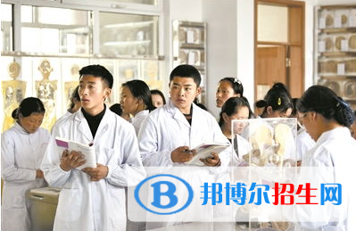 藏醫(yī)學(xué)專(zhuān)業(yè)好嗎?(藏醫(yī)學(xué)專(zhuān)業(yè))