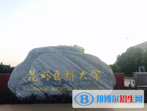 云南醫(yī)藥類大學有哪些？(附名單)