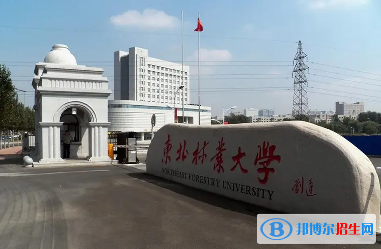海南高考590分左右可以報考什么學(xué)校（2023報考參考）