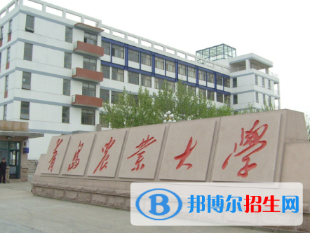 山東有哪些大學(xué)是二本？山東二本大學(xué)排名2022最新排名列表(47所)