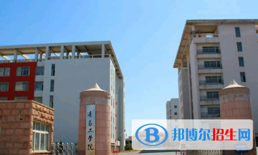 青島工學院是不是雙一流大學？