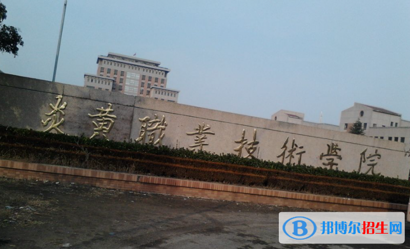 浙江高考295分左右可以報考什么學(xué)校（2023報考參考）