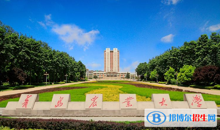 青島農(nóng)業(yè)大學有哪些中外合作辦學專業(yè)？（附名單）