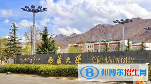 西藏211大學有哪些學校?(西藏211大學）