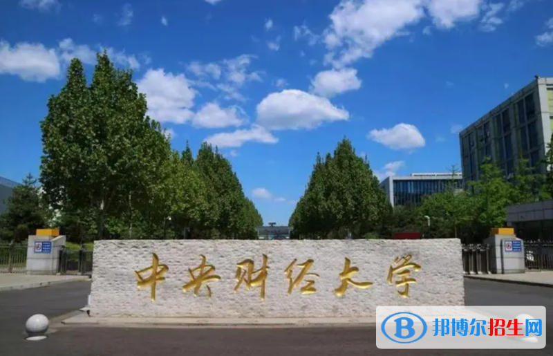 中國保險(xiǎn)學(xué)專業(yè)十大名校