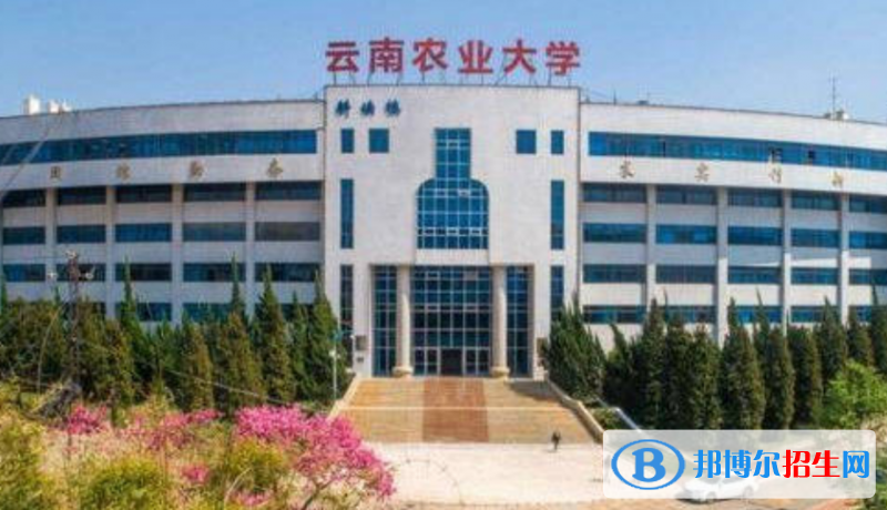 云南農(nóng)業(yè)大學(xué)是幾本？是985和211嗎？