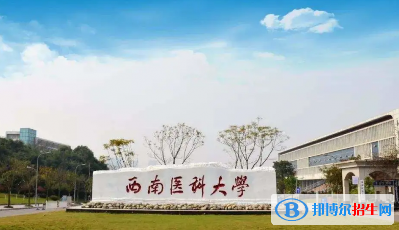 西南醫(yī)科大學(xué)是幾本？是985和211嗎？