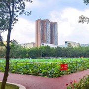 四川國盛技工學校醫(yī)護救援部