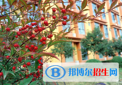 2023年西安經(jīng)開(kāi)職業(yè)學(xué)校招生錄取分?jǐn)?shù)線