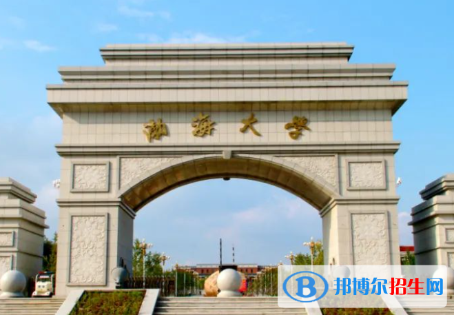 2023年渤海大學(xué)藝術(shù)類專業(yè)招生簡章