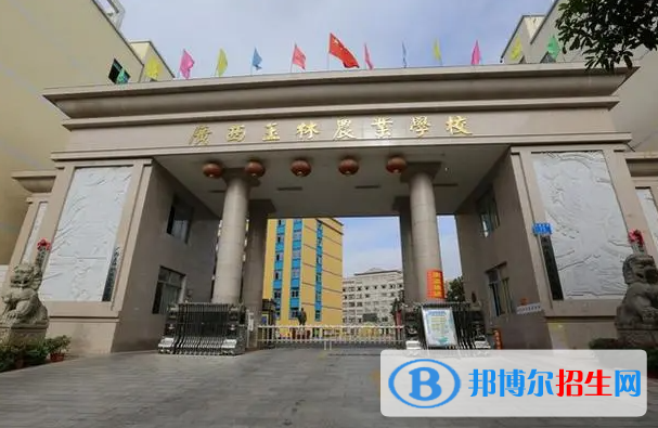 2024玉林職業(yè)學(xué)校有哪些  玉林職業(yè)學(xué)校名單一覽表