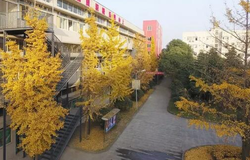 2023成都國演藝術(shù)學(xué)校開設(shè)的專業(yè)一覽表