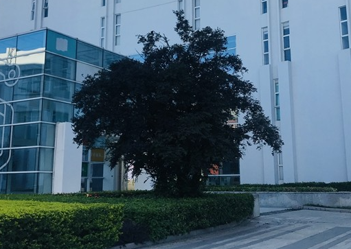 汕頭市科技應用職業(yè)技術學校地址，乘車路線