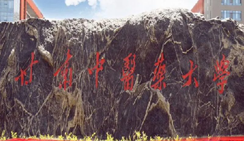 甘肅中醫(yī)藥大學(xué)什么專業(yè)好，甘肅中醫(yī)藥大學(xué)專業(yè)排名