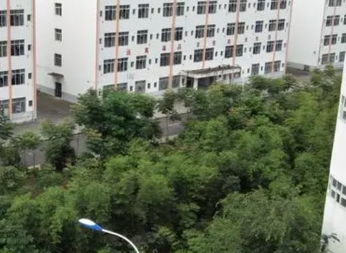 2023銅仁公辦機電學(xué)校有哪些 銅仁公辦機電學(xué)校名單一覽表