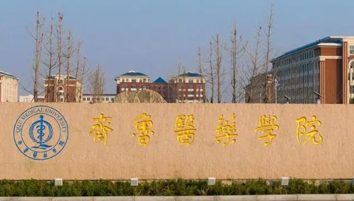 齊魯醫(yī)藥學院招生章程2023年