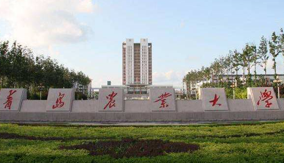 青島農(nóng)業(yè)大學(xué)招生章程2023年