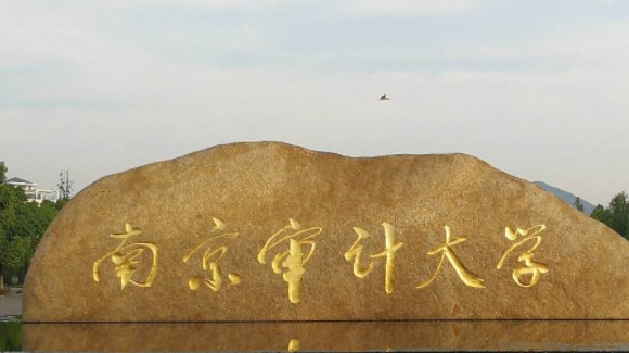 海南審計學(xué)專業(yè)大學(xué)排名及分數(shù)線一覽表