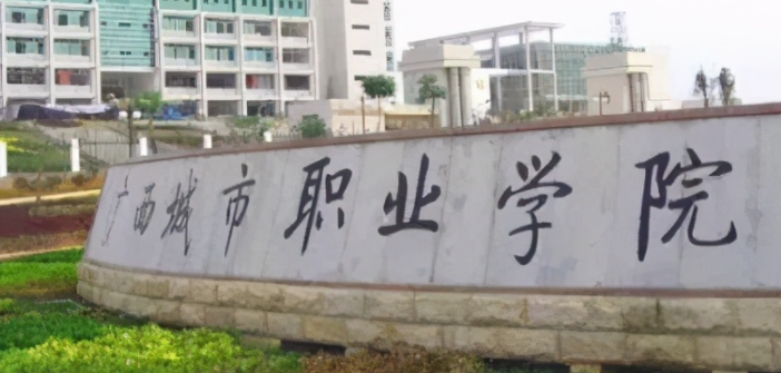海南大數(shù)據(jù)與會計專業(yè)大學(xué)排名及分?jǐn)?shù)線一覽表