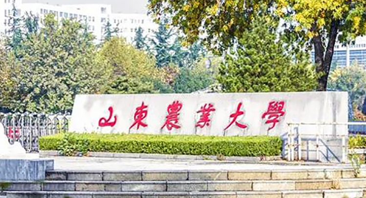 山東最好五個二本大學，2023山東二本院校完整名單一覽