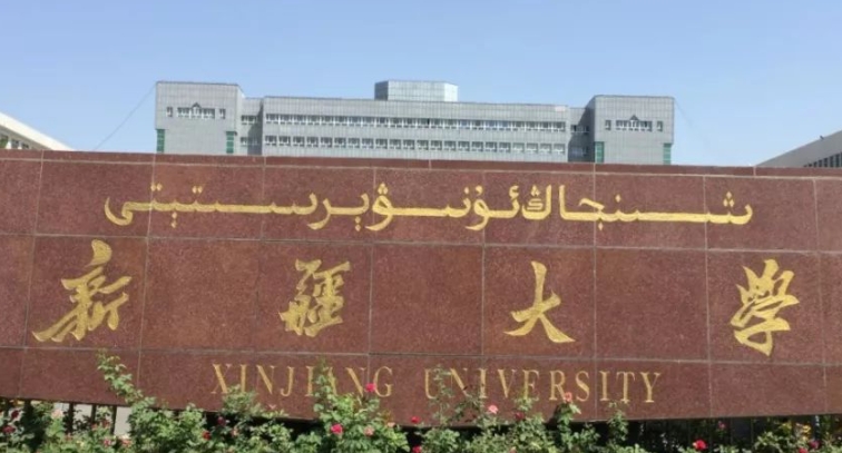 新疆的大學排名2023最新版 （2024年參考）