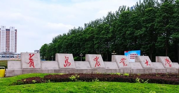 青島農(nóng)業(yè)大學(xué)是幾本院校 985還是211高校（附重點(diǎn)專(zhuān)業(yè)）