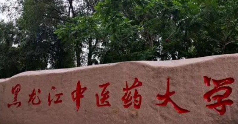 在黑龍江高考375分算什么水平（近三年）黑龍江高考375分能上的大學 