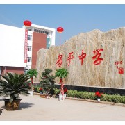 安平中學