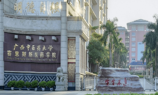 廣西中醫(yī)藥大學(xué)賽恩斯新醫(yī)藥學(xué)院高考錄取分?jǐn)?shù)線是多少（2024參考）