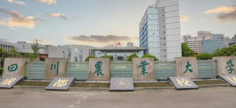 2024中國五線城市大學ABC排名