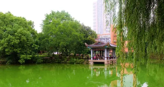2024年北京高考錄取結果查詢方法是什么？高考錄取狀態(tài)有哪些