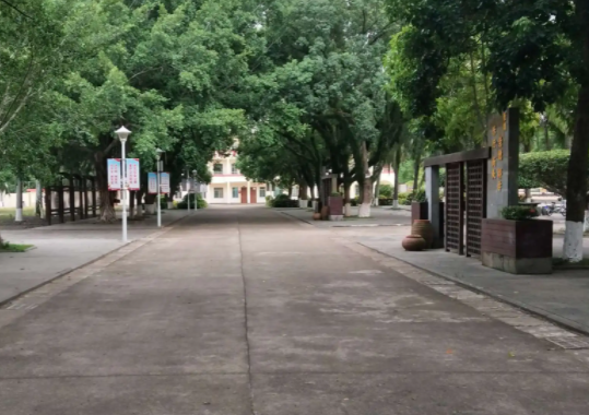 體育生高考多少分可以上本科？可以考哪些大學(xué)？