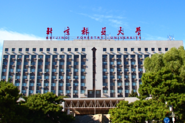 上海高考532分能上什么大學（2024年參考）