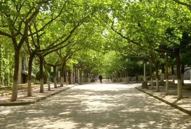 合肥經(jīng)貿(mào)旅游學(xué)校參加安徽省職業(yè)教育考試制度改革研究項(xiàng)目基地校啟動(dòng)會(huì)并作專題發(fā)言
