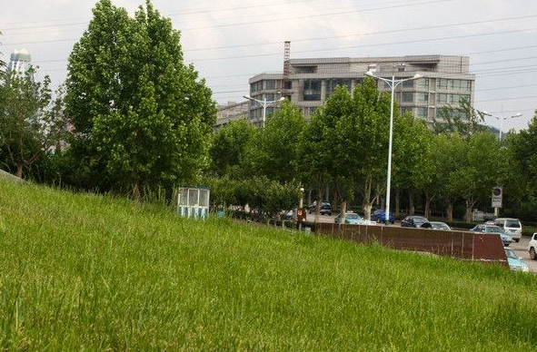 蕪湖機(jī)械工程學(xué)校召開2023-2024學(xué)年度第二學(xué)期工作總結(jié)大會(huì)